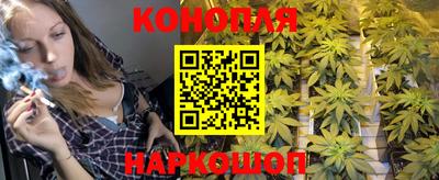 Альфа ПВП Беслан