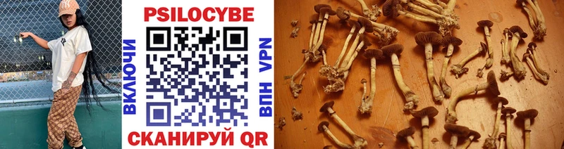 Псилоцибиновые грибы прущие грибы  Губаха 