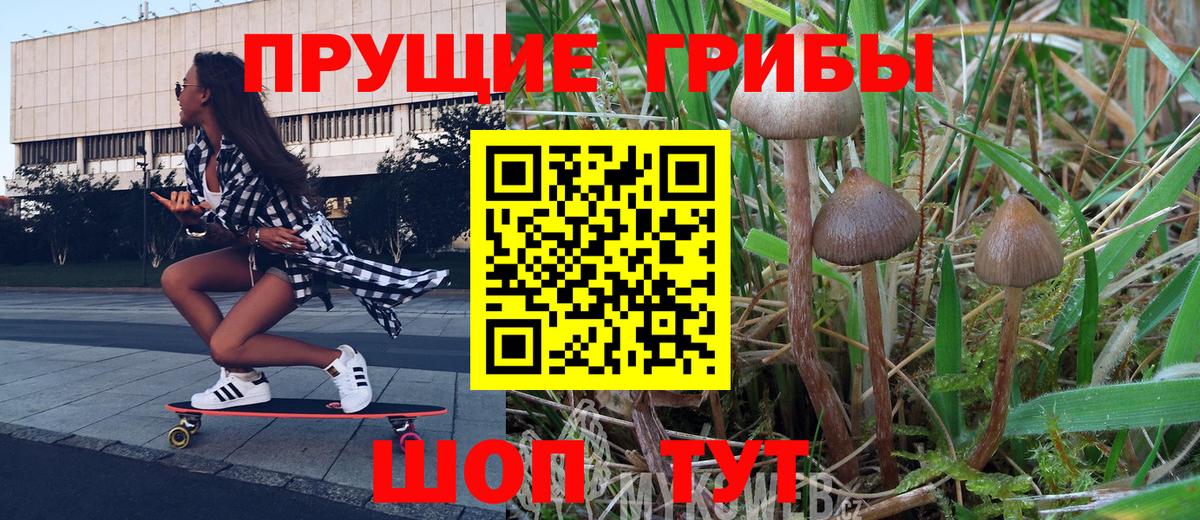Галлюциногенные грибы Cubensis Губаха