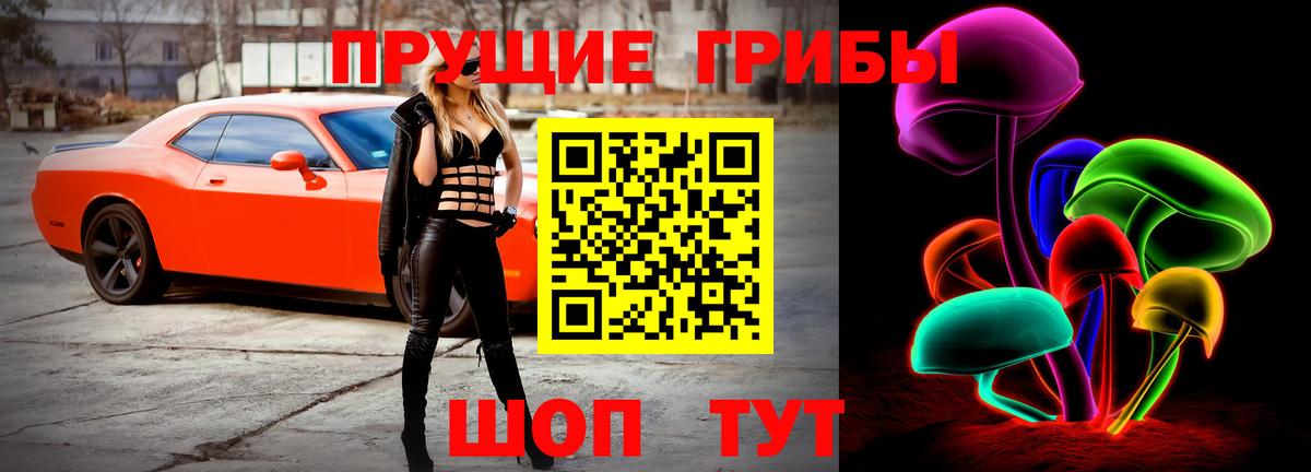 Губаха  где продают   Вход с VPN  Псилоцибиновые грибы мухоморы 